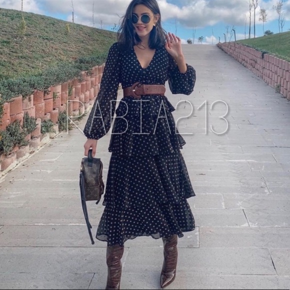 Blogger's favorite Zara polka dot midi dress - Picture 3 of 6